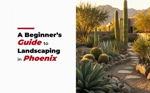 A Beginner’s Guide to Landscaping in Phoenix